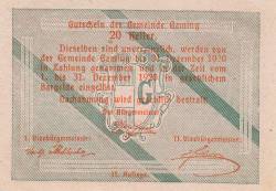 20 Heller 1920 - Gaming