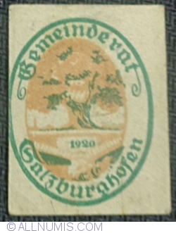1 Pfennig 1920 - Salzburghofen
